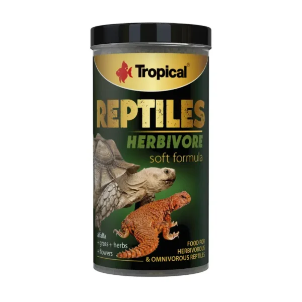 Tropical Softline Herbivore