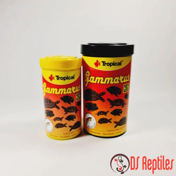 Tropical gammarus