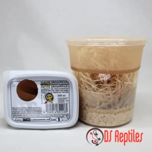 Majhne vinske mušice