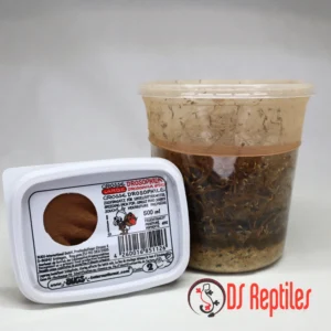 Velike vinske mušice