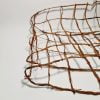tpf-jungle-net