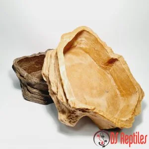 Dragon posoda za vodo/hrano