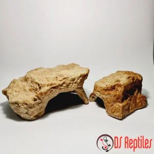 Dragon realistično skrivališče