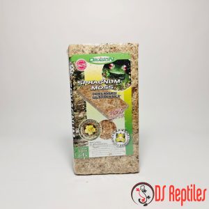 Dragon-sphagnum-mah