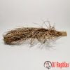 Lucky Reptile palmina metlica