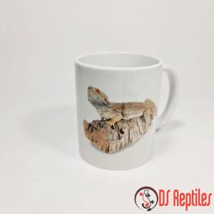 keramicne-skodelice-kuscarji