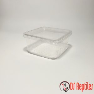 Prozorna-doza-s-pokrovčkom