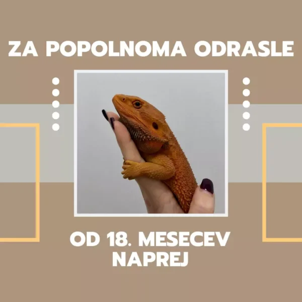 Agame - od 18. mesecev naprej