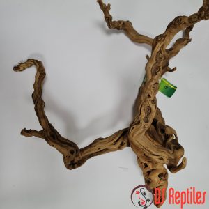 Lucky Reptile veje trte