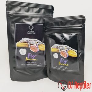 gecko nutrition - figa