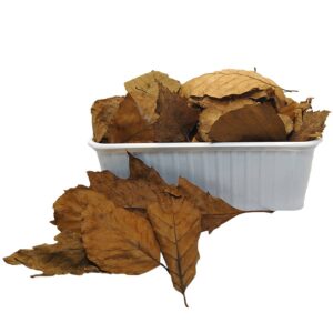 Naravno sušeno listje