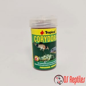 tropical-corydoras