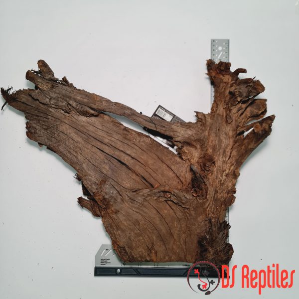 ReptiPlanet Driftwood