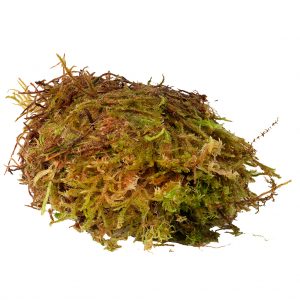 Habistat Sphagnum Moss