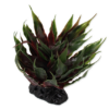 ReptiPlanet umetne rastline