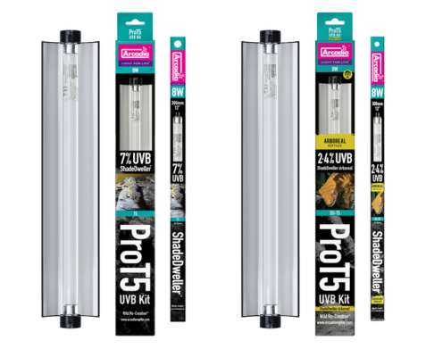 Arcadia ShadeDweller