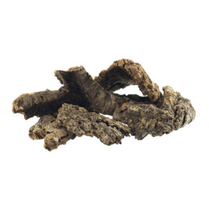 Dragon lubje plutovca