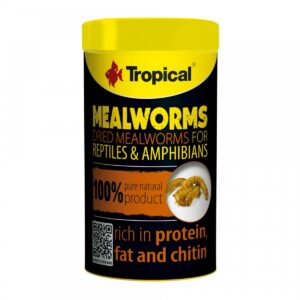 Tropical Mealworms