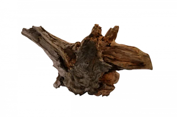 SuperFish Driftwood