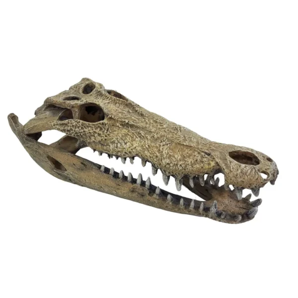 Repto Deco Crocodile XXL