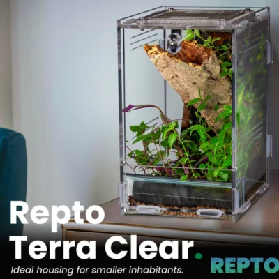 Repto Terra Clear