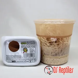 Manjše žuželke in muhe