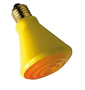 Lucky Reptile Dark spot