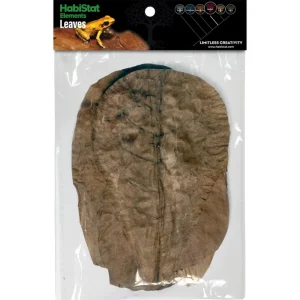 Habistat Catappa Leaves