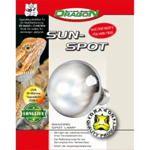 Dragon Sun Spot