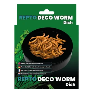 Repto Deco Worm Dish