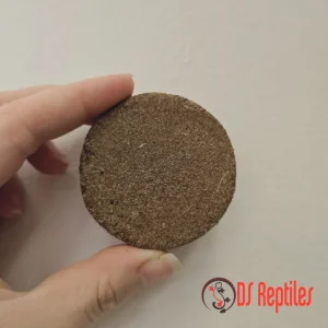 Dragon Mini Coco Ground