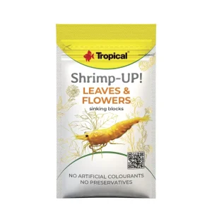 Tropical Shrimp-UP! Leaves & Flowers